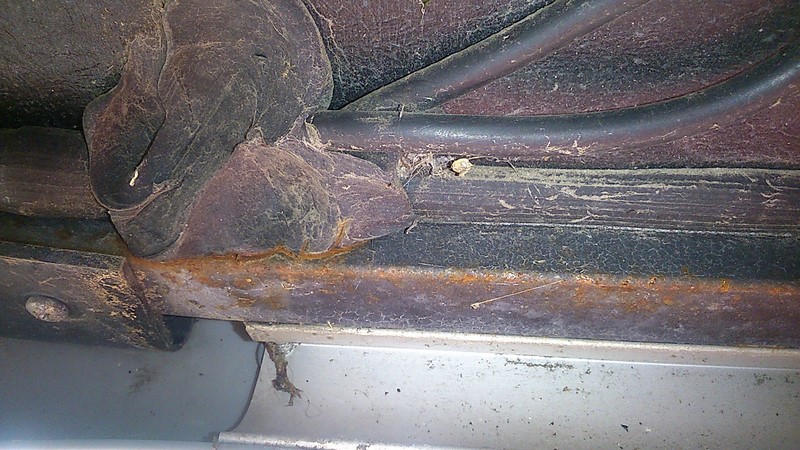 DSC_0063 (Copier).jpg