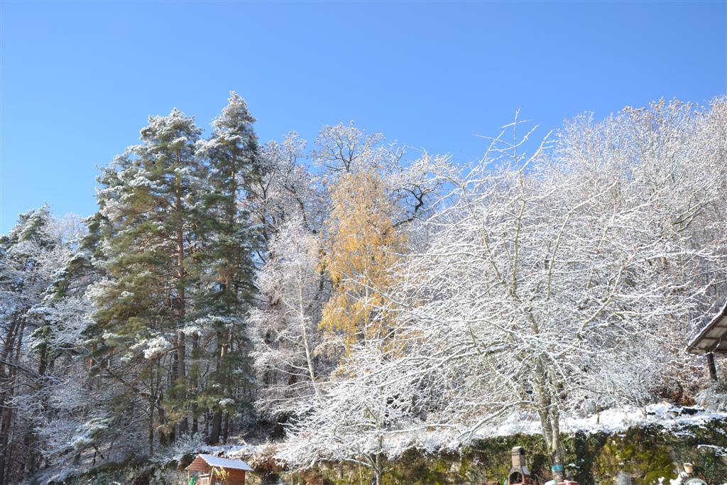 La Minerve 112 (Large).jpg