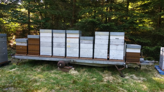 la remorque du beau frêre.jpg