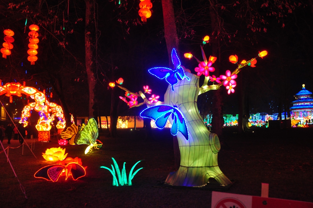 Lanternes chinoises05.JPG