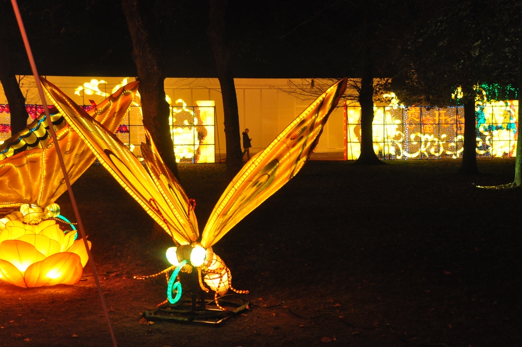Lanternes chinoises09.JPG
