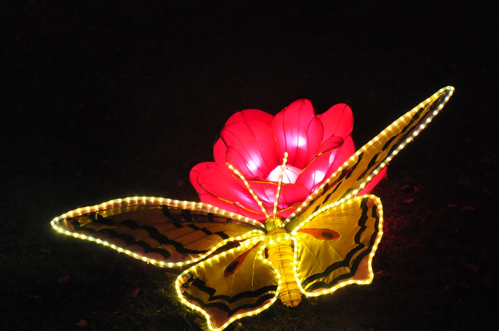 Lanternes chinoises10.JPG