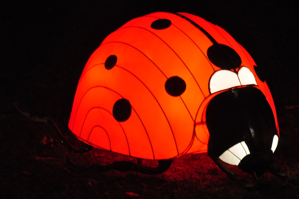 Spécialement à l'intention de Télériba