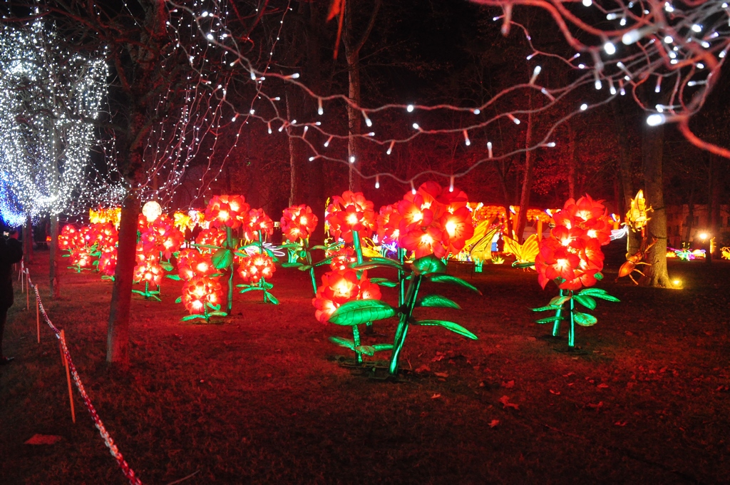 Lanternes chinoises11.JPG