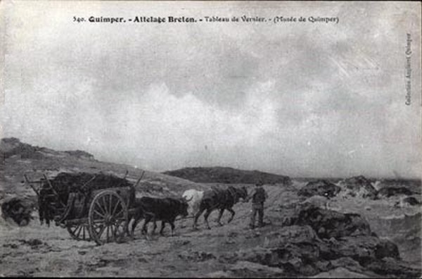 attelage breton.jpg