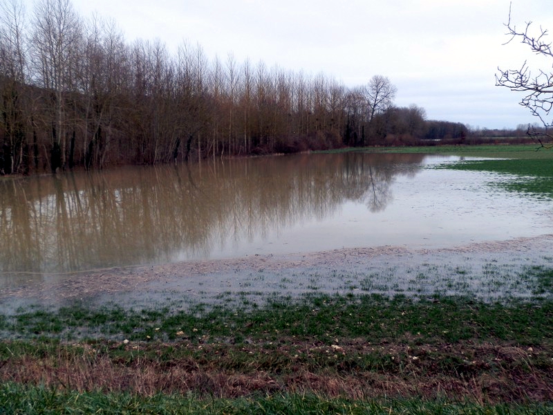 L'Aisne est derrière les arbres .... Dommage pour les récoltes qui seront probablement perdues.