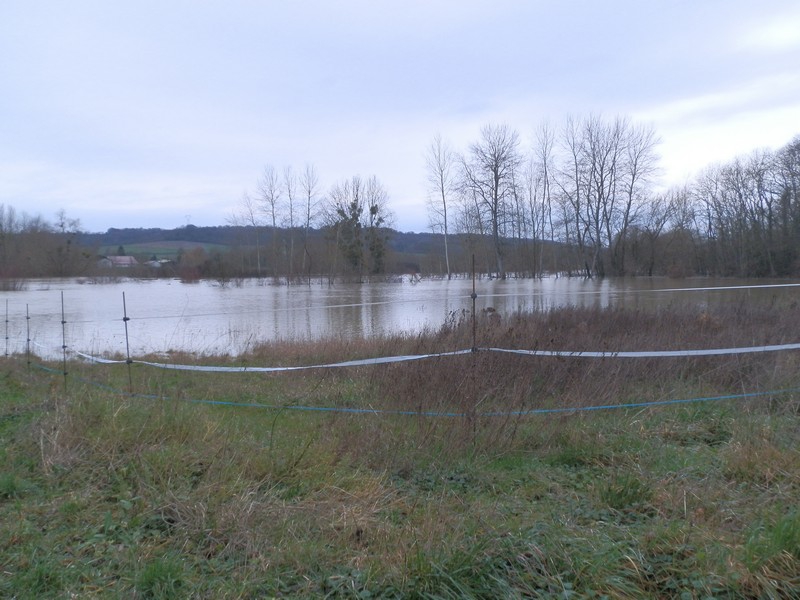 L'Aisne est toujours derrière les arbres et les champs devant nous ont "un problème" .....