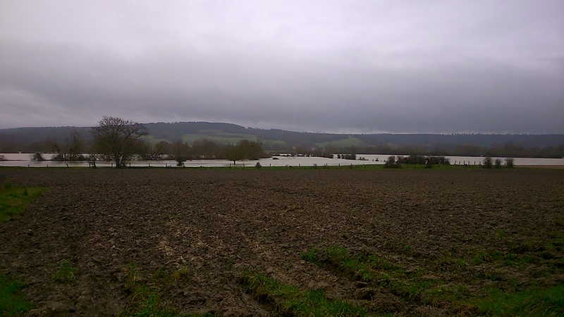 DSC_0016 (Copier).jpg