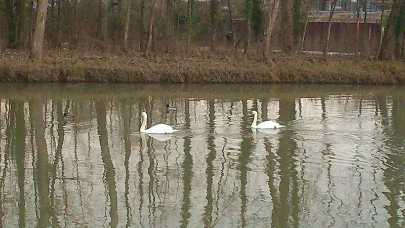 DSC_0031 (1) (Copier).jpg