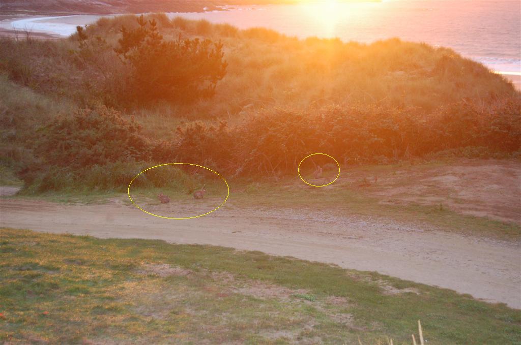 Bretagne Camping du Pont de l'Etang Pléhérel (289) (Large).jpg