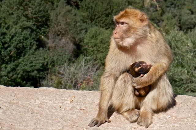 120        Ouzoud.jpg