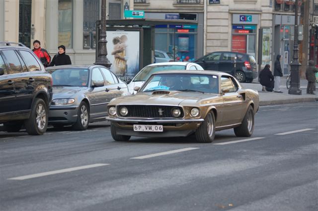 DSC_8446 (Small).JPG