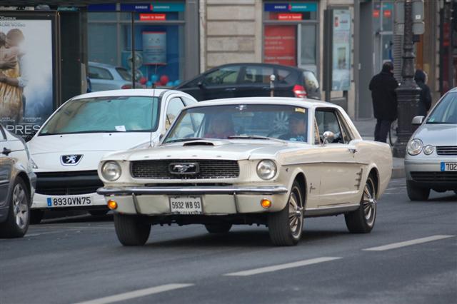 DSC_8447 (Small).JPG