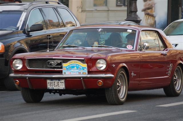 DSC_8448 (Small).JPG