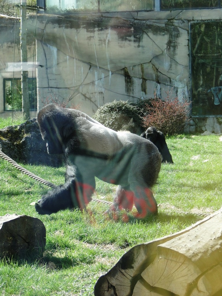 DSC00844.jpg