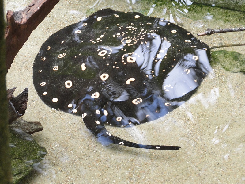 DSC00847.jpg