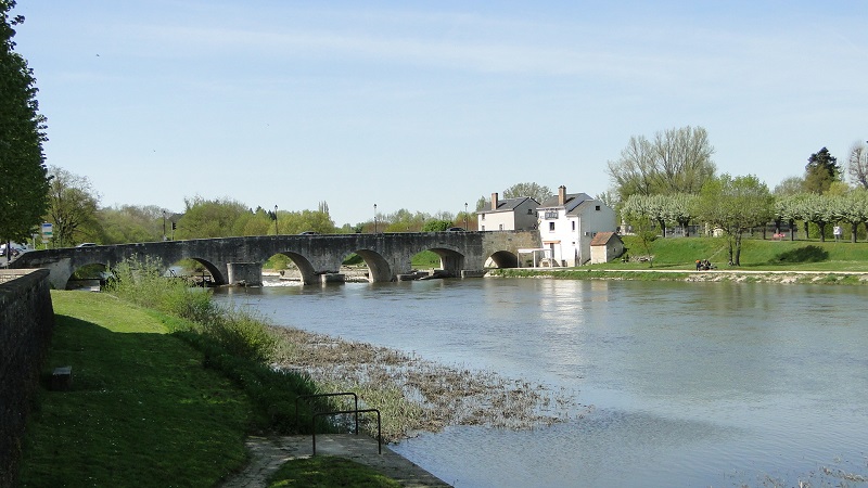 DSC01011.jpg