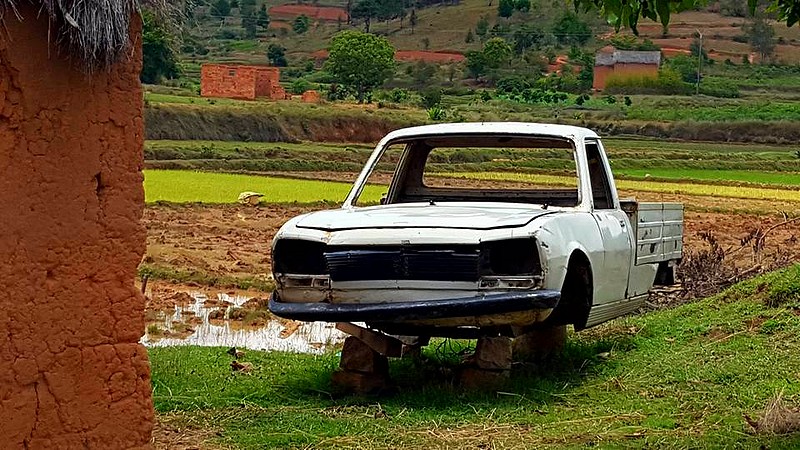217 .jpg