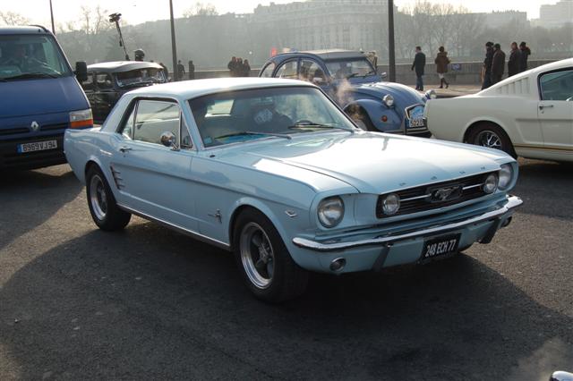 DSC_8551 (Small).JPG