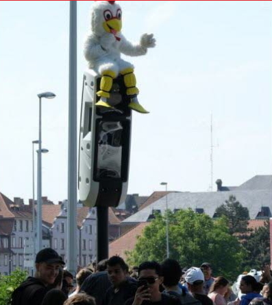 Poulet sur un radar.jpg