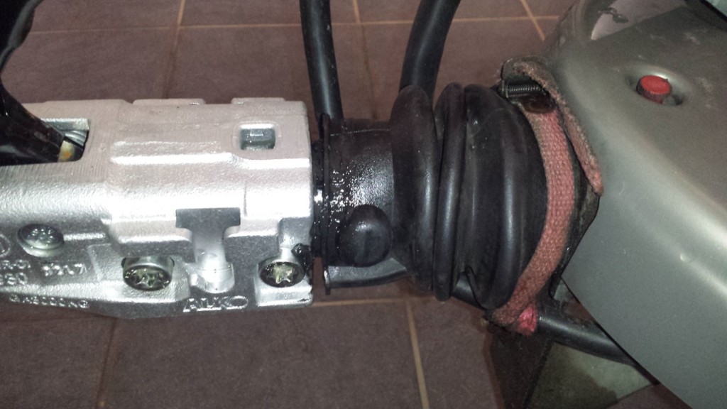 20180513_182145-2.jpg