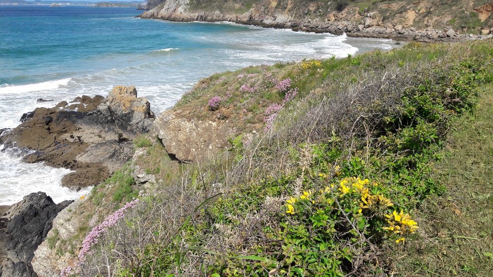 Un panorama de rêve