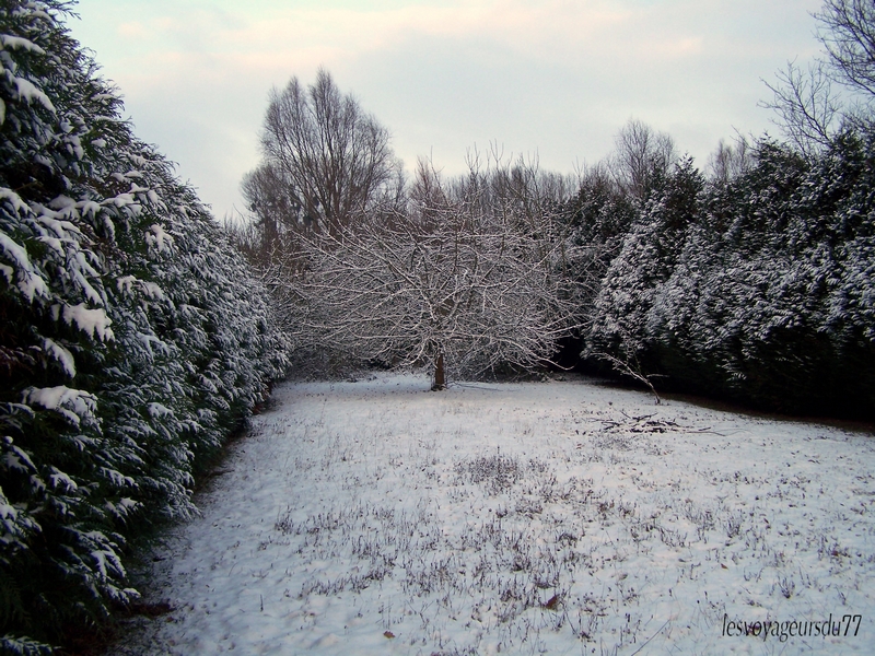 neige4.JPG