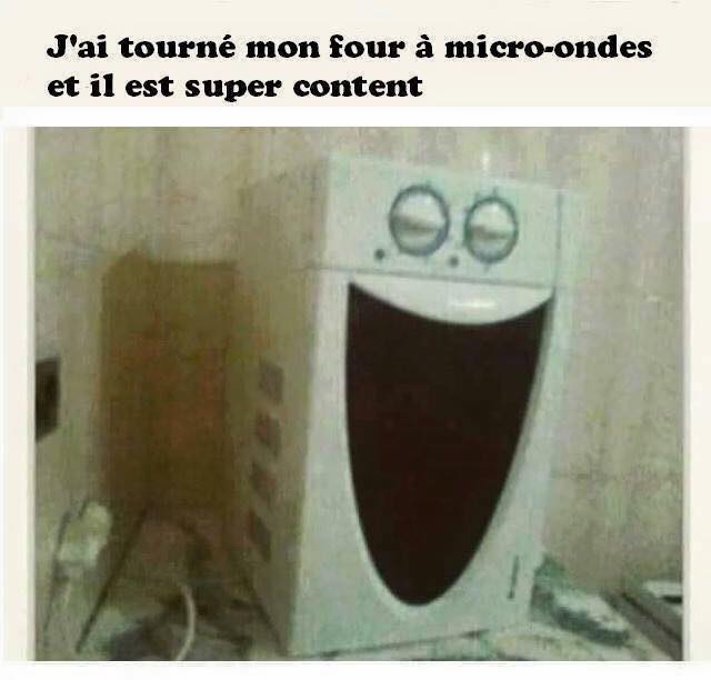 four  a micro ondes.jpg