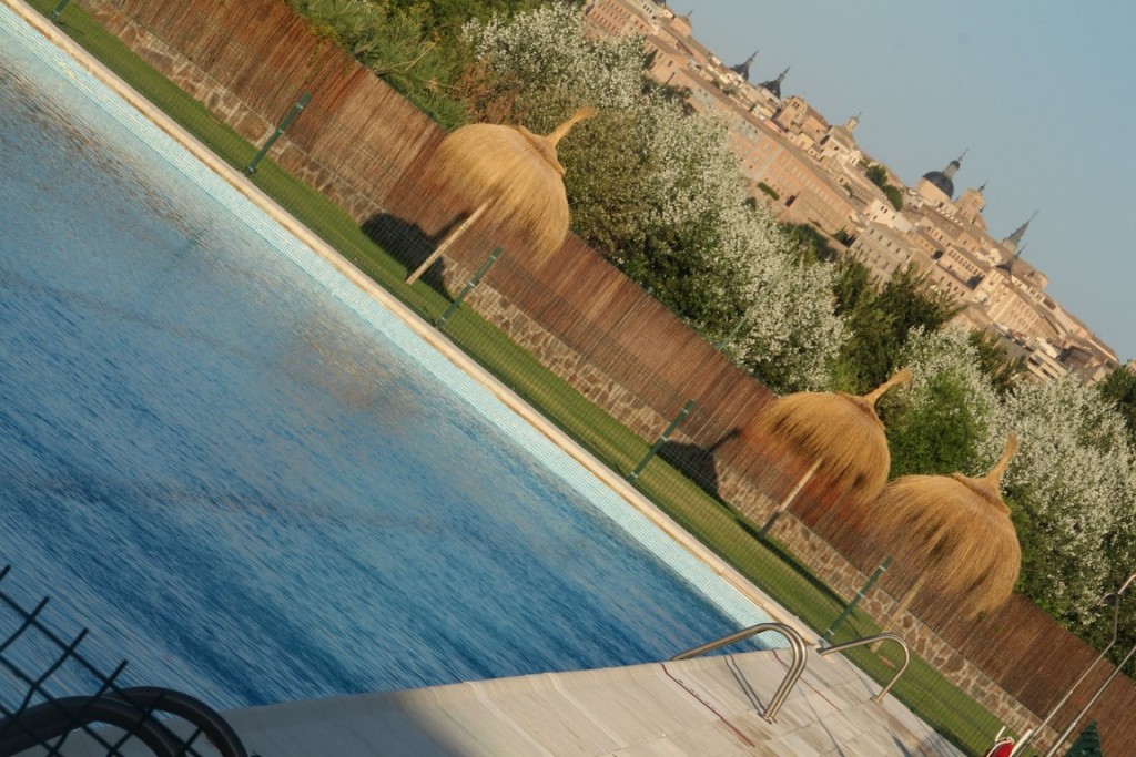 IMG_8957 (Copier).JPG