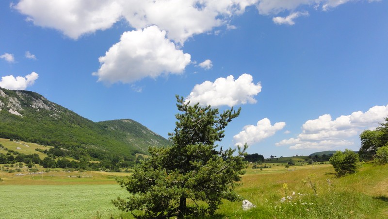 La beauté du paysage.