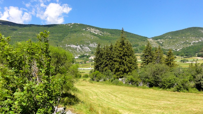 DSC08032.JPG
