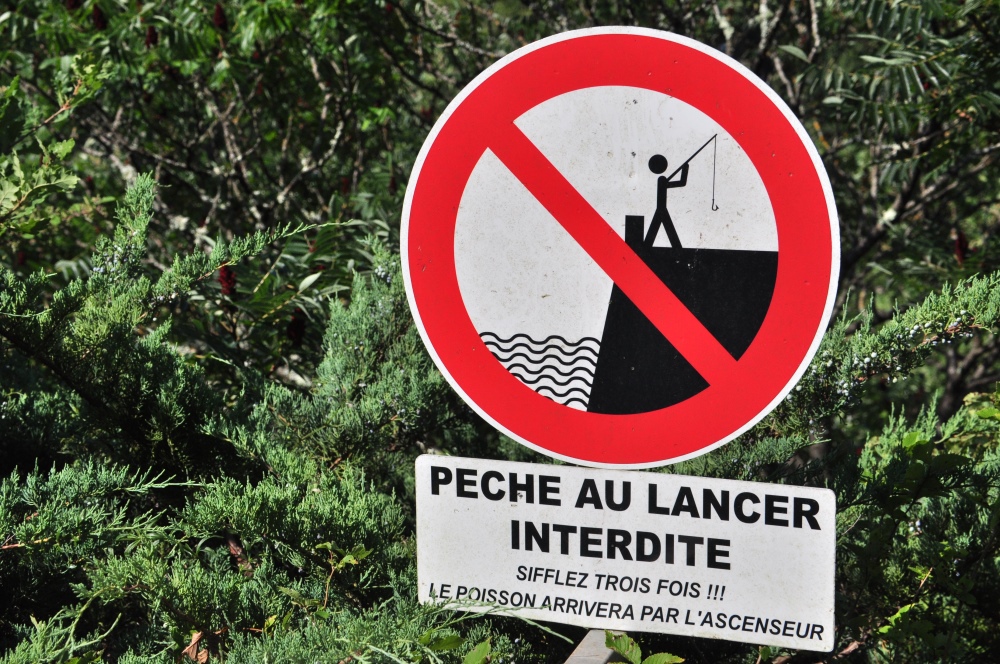 Pêche au lancer_2.JPG