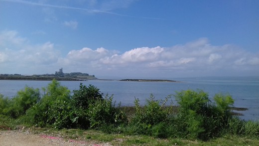 Saint Vaast la Houge (50).jpg