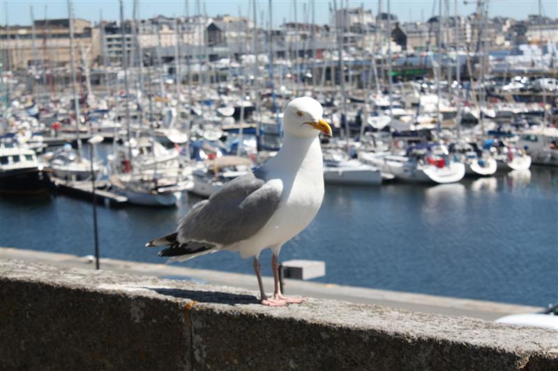 Saint Malo