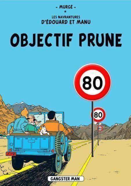 Objectif prune.jpg