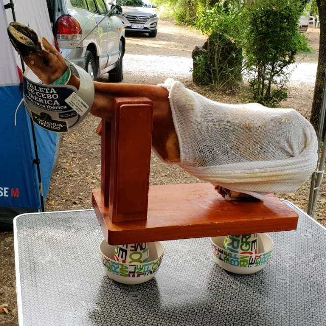 20180916_093253_crop_640x640.jpg