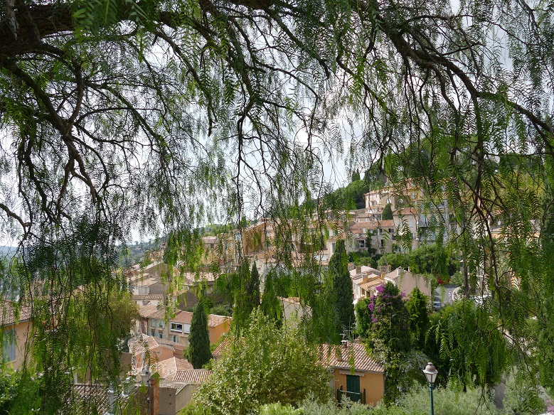 P1150644&.jpg