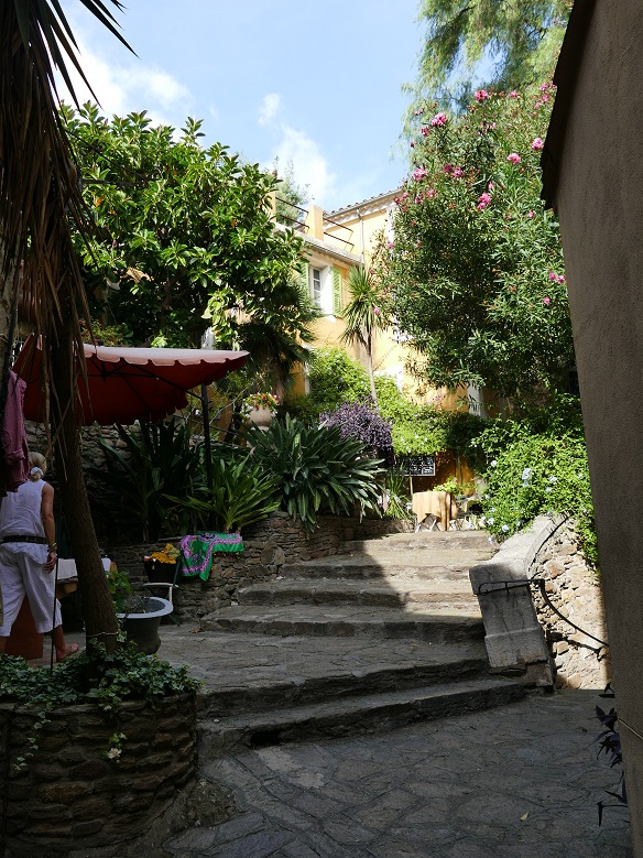 P1150667&.jpg