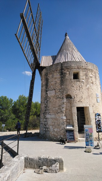 DSC_0201 (Copier).JPG