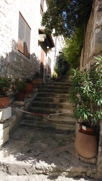 DSC_0203 (Copier).JPG