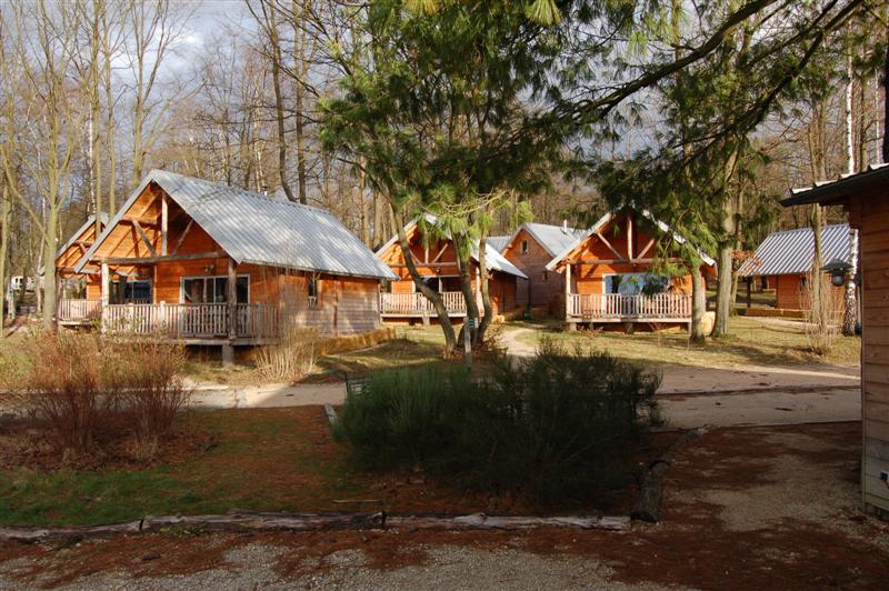 DSC_8707 (Medium).JPG