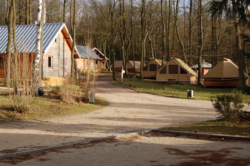 DSC_8708 (Medium).JPG