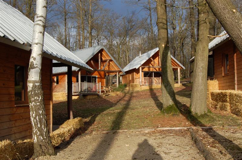 DSC_8710 (Medium).JPG