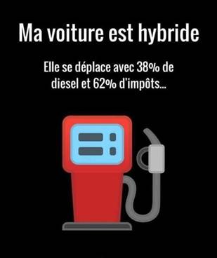 Hybride1.jpg