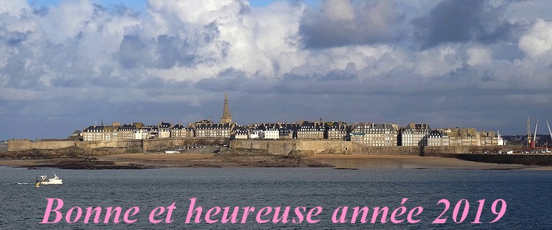 Bonne année 2019 .JPG