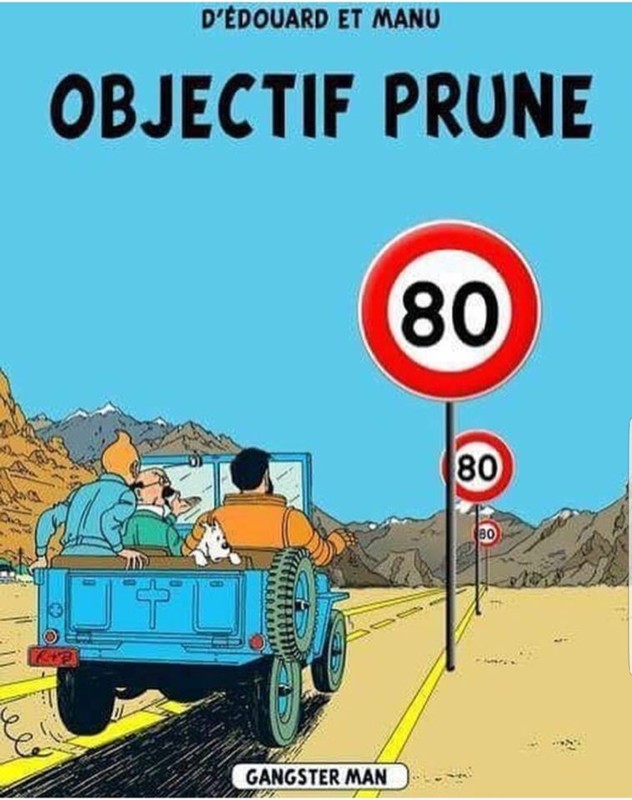Tintin objectif prune.jpg
