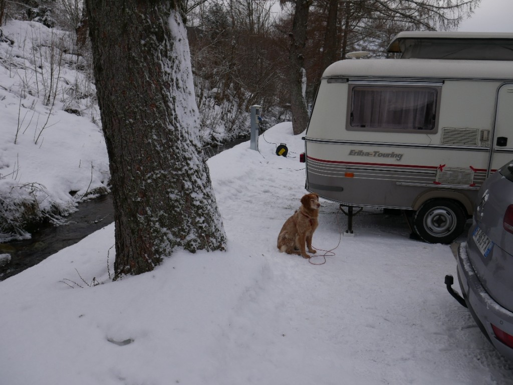 Ruisseau de Belbriette dont le bruit de l'eau nous berce toute la nuit