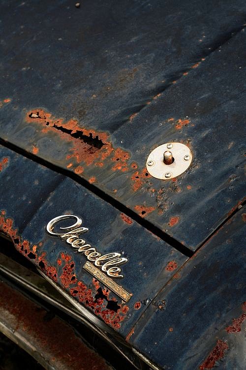 1164 Chevrolet Chevelle .jpg