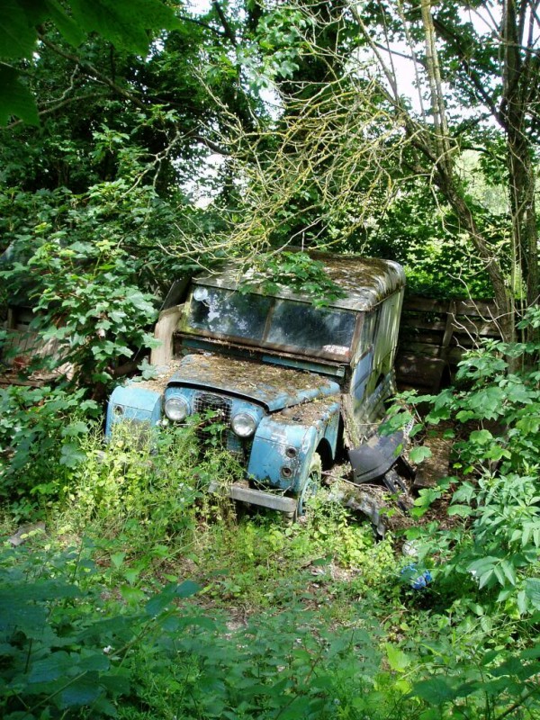 Land S I dans les bois.jpg