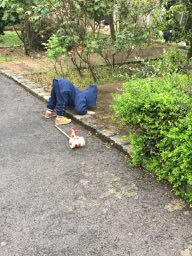 Et pendant ce temps-là, le petit boit dans les flaques d'eau.